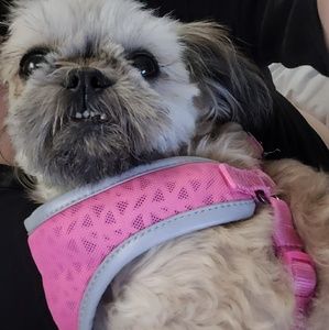 Meet your Posher, Bethany